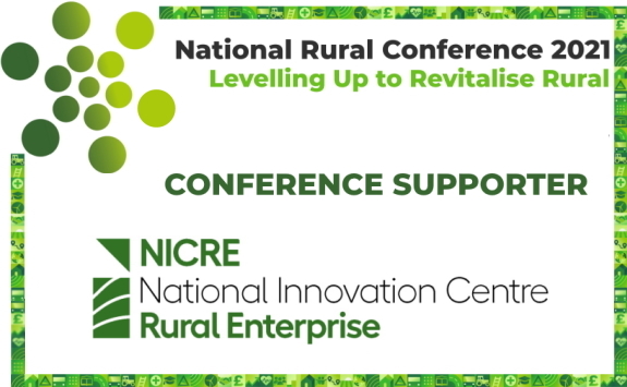 RSN, Levelling Up, rural enterprise